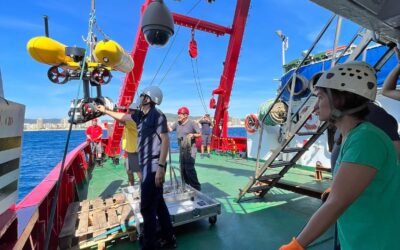 The oceanographic campaign to assess the state of the seabed in the project work areas has finished