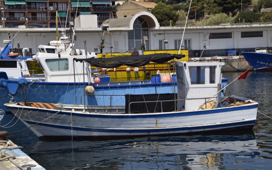 The Sant Feliu de Guíxols guild joins the LIFE Ecorest project