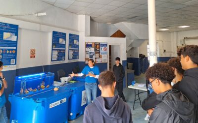 The educational program of the LIFE ECOREST project begins, and aims to raise awareness among schoolchildren about the importance of deep marine hábitats