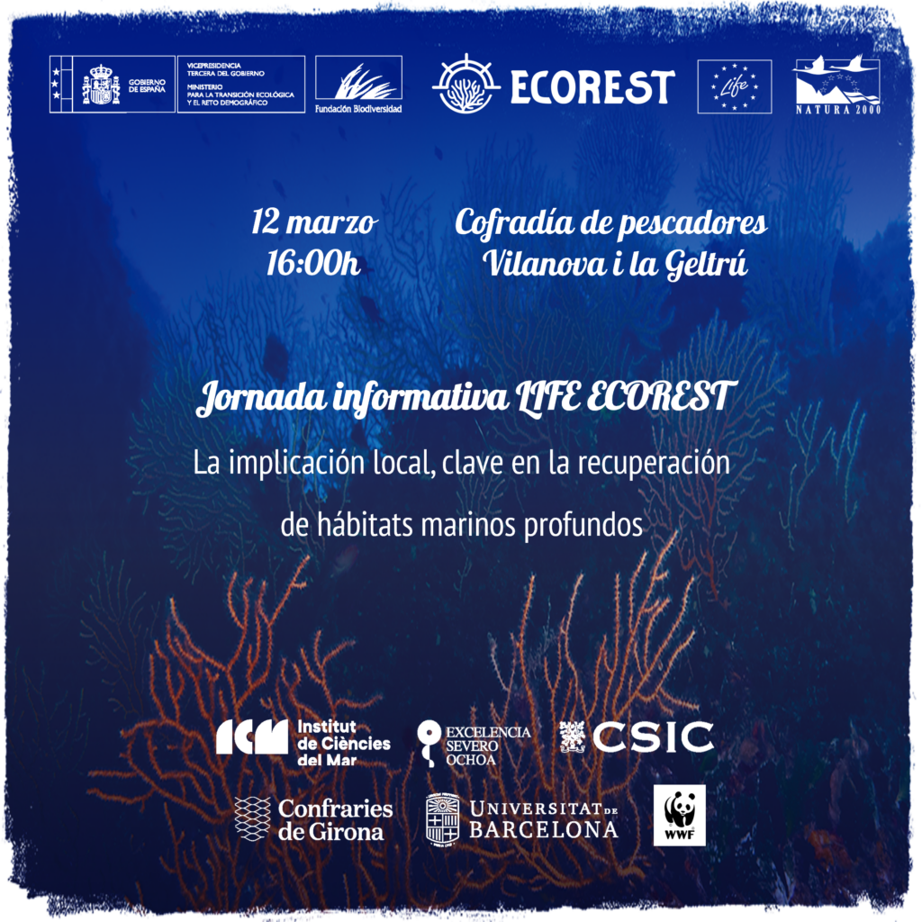 Local engagement, key in the recovery of deep-sea habitats - LIFE Ecorest