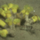 The reintroduction of more than 8,000 corals, gorgonians, and sponges in fishing exclusion zones is driving the recovery of deep-sea ecosystems