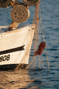 La restauración marina se beneficia de la estrecha colaboración